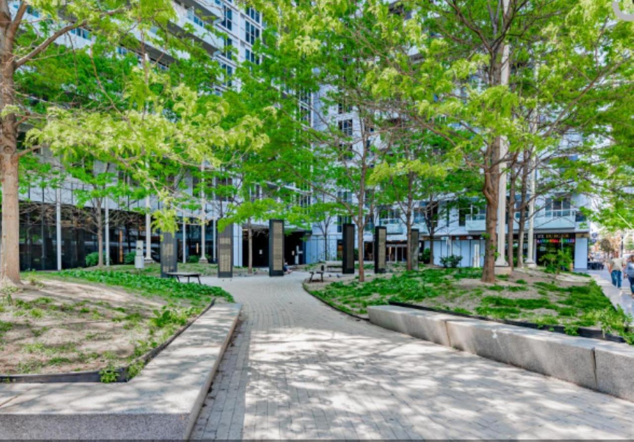 Executive 2 Beds Near Cn Tower, Rogers Centre, Scotia Area, Business District, Entertainment District, Lakeshore Торонто Екстер'єр фото